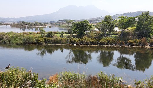 3 Bedroom Property for Sale in Somerset Lakes Western Cape